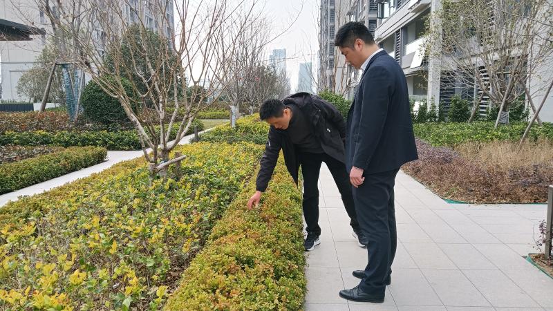 淮北市园林处走进新建住宅小区开展绿化养护指导服务工作