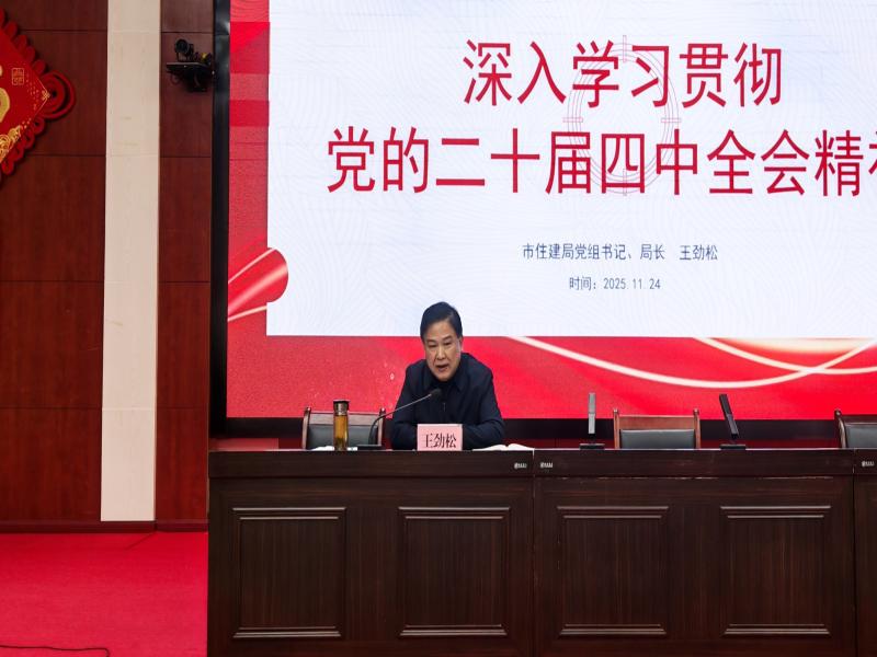 王劲松宣讲党的二十届四中全会精神